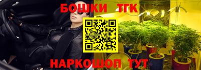 МДПВ Будённовск