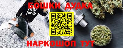 МДПВ Будённовск