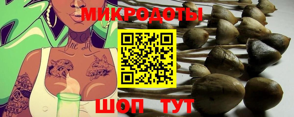 Чебоксары  Галлюциногенные грибы мухоморы  Вход с VPN 